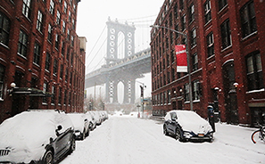 Snowstorm : 2021 : New York : Personal Photo Projects : Photos : Richard Moore : Photographer